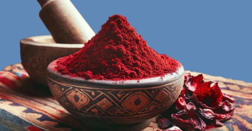Rouge à Lèvres Marocain Artisanal | Naturel, Biologique, Longue Durée et Sans Cruauté | Couleurs Vives pour Tous les Teints